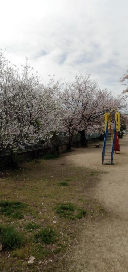 Apartment Cherry Blossom Koseicho *